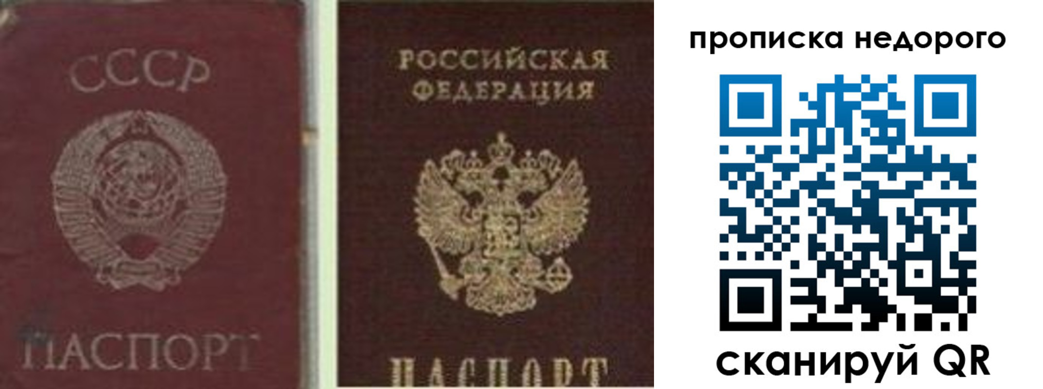 временная регистрация поиск в Камбарке